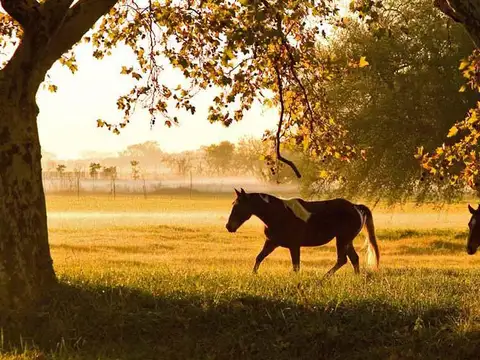 Terreno en Venta de 3000,0 m2