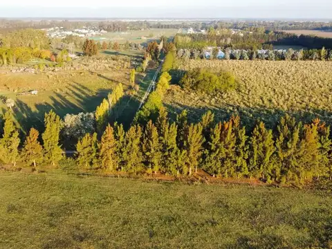VENTA LOTE EN PRADERAS DE CARDALES 2
