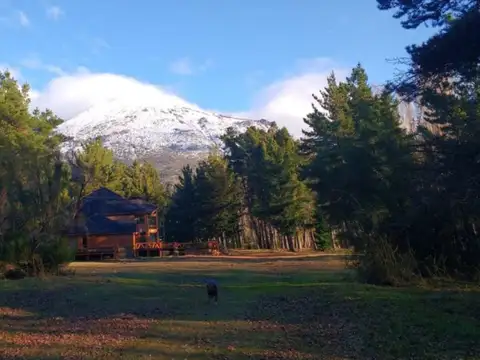 Miradas