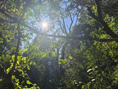 Terreno en Villa Suyai, Bariloche