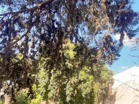 Terreno en Venta de 150,0 m2