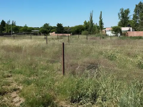 Calle Pato Argentino