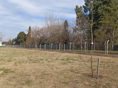 Ava. Venta Lote En Santa Lucia