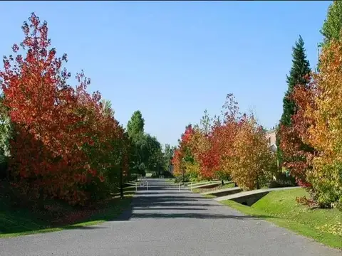 Terreno en Venta en Pilar del Este - Santa Lucia, USD 29.500