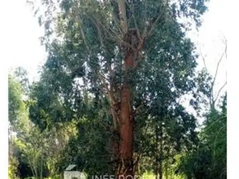 TERRENOS/FRACCIONES/LOTEOS - TERRENOS/FRACCIONES/LOTEOS - PARQUE DEL GOLF, PUNTA DEL ESTE