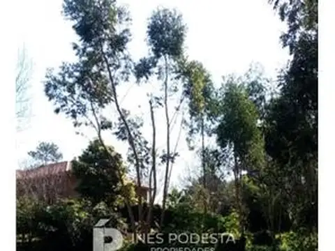 TERRENO EN GOLF