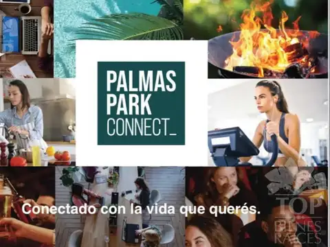 Don Francisco al 2900