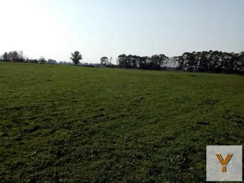 Campo en Venta en Mechongue, Partido de General Alvarado