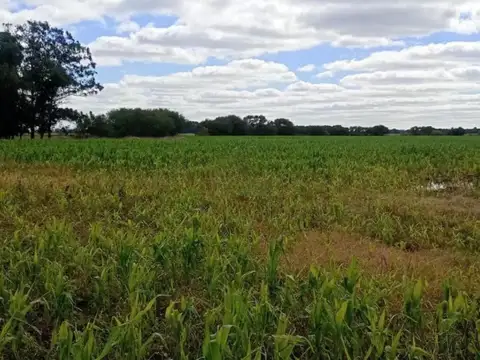 Campo en venta - 2.420.000Mts2 - Mechongué