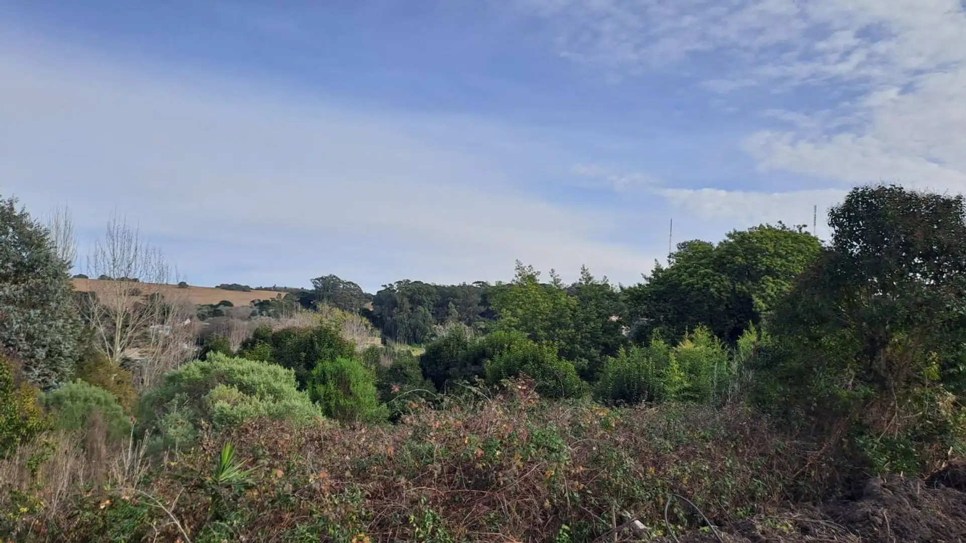 VENTA LOTE 17 ZONA ALTA SIERRA DE LOS PADRES