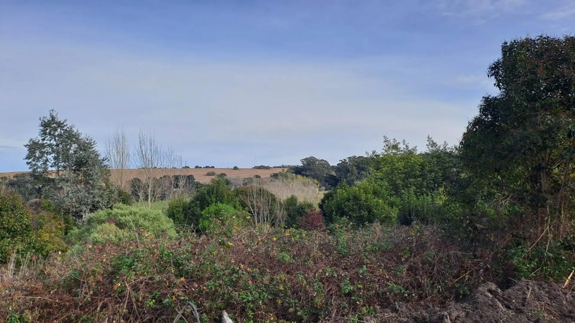 VENTA LOTE 17 ZONA ALTA SIERRA DE LOS PADRES