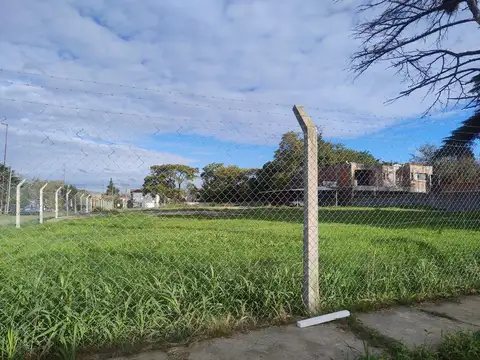 Terreno en Alquiler de 2900,0 m2