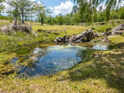 CASA EN TERRENO DE 24 HECTAREAS - SAN CLEMENTE