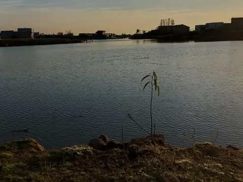 Terreno en Venta de 938,0 m2