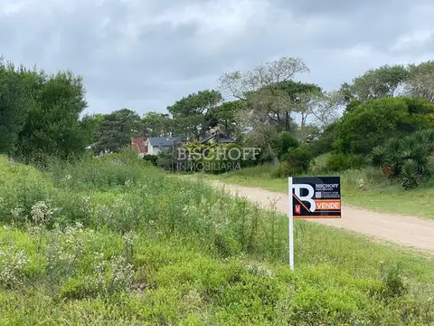 CALLE 311 Y ALAMEDA 206 BIS