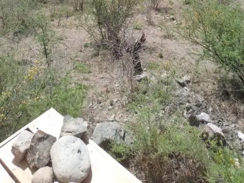 Terreno en Venta en La Paisanita, Santa María