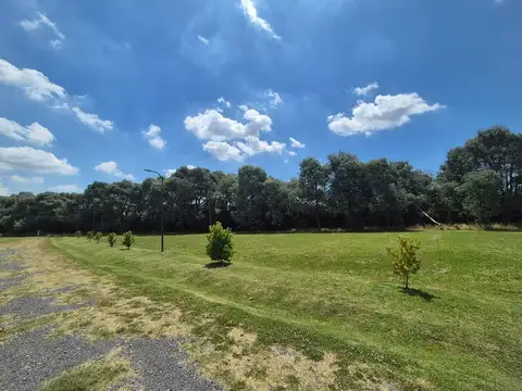 Terreno en Venta en Vicente Casares, USD 33.000