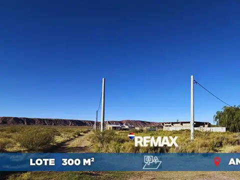 LOTE PLOTTIER 300M2 AMEDEA