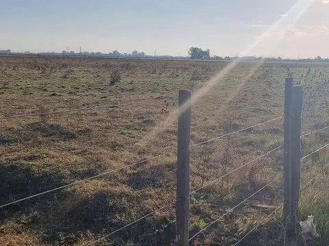 CAMPO EN VENTA SOBRE AUTOPISTA ROSARIO- BUENOS AIRES-ARROYO SECO