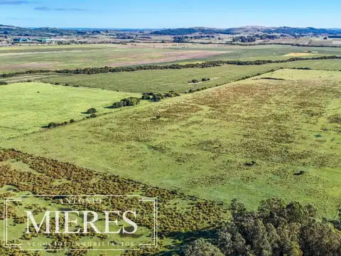 Chacra de 16 ha en venta, Zona Lapataia, Maldonado Uruguay.
