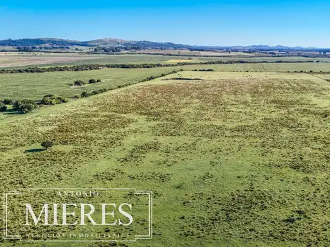 Chacra de 16 ha en venta, Zona Lapataia, Maldonado Uruguay.