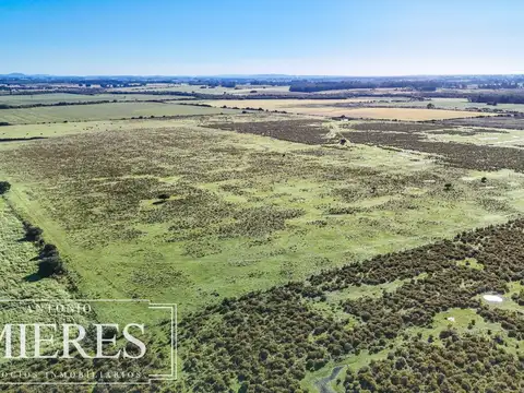 Chacra de 16 ha en venta, Zona Lapataia, Maldonado Uruguay.