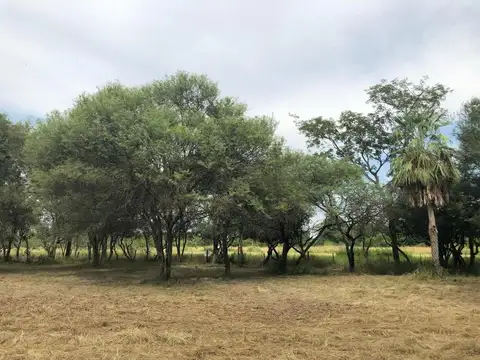 Terreno en Venta de 9,0 m2