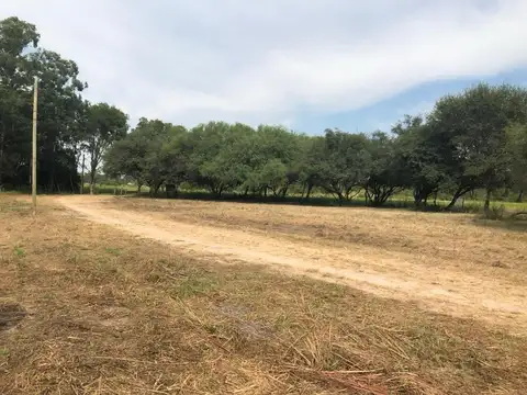 Ruta 11 km 1023 - Fracción de 9.5 hectareas sobre ruta