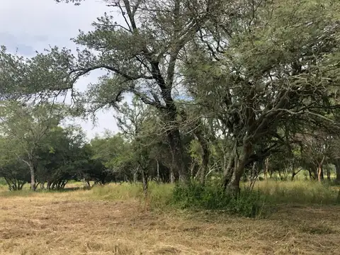Ruta 11 km 1023 - Fracción de 9.5 hectareas sobre ruta