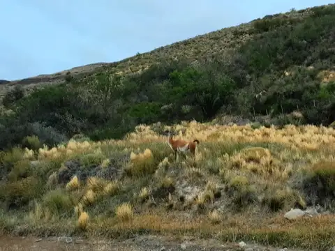 Terreno en Venta en Villa Llanquin, USD 220.000