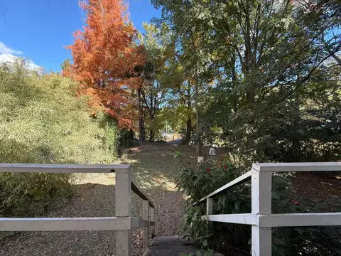 Arroyo el pajarito