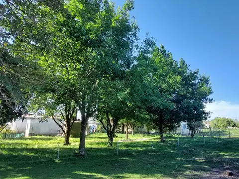 Quinta en Venta en Herrera, USD 60.000