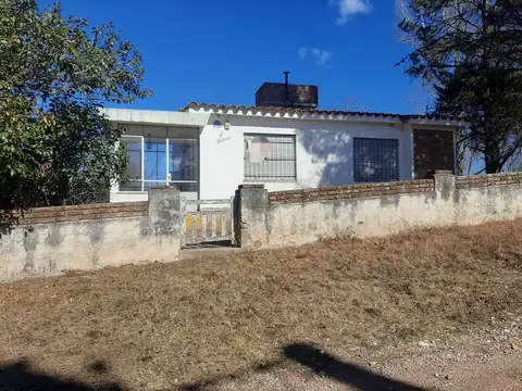 Yerba Buena 100
