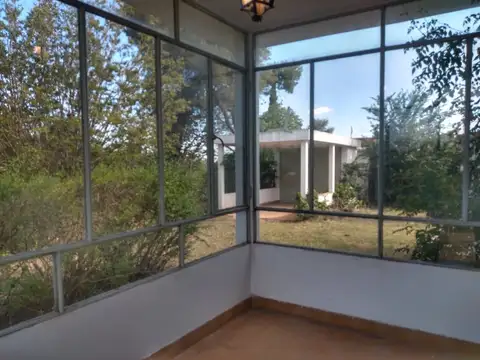 Yerba Buena 100