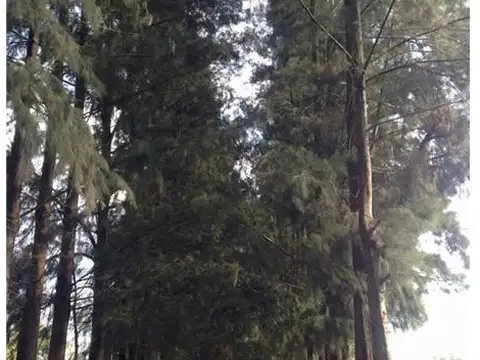 Terreno en Venta en Ezeiza, USD 45.000