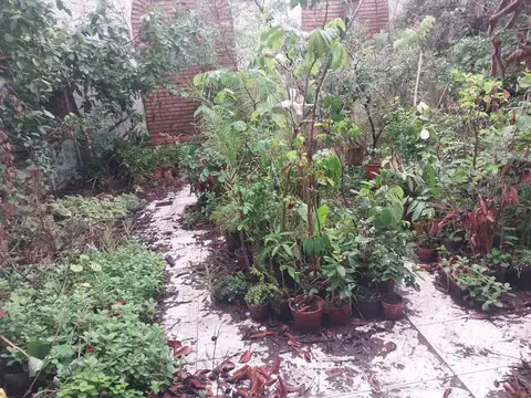 Ugarte  al 3300