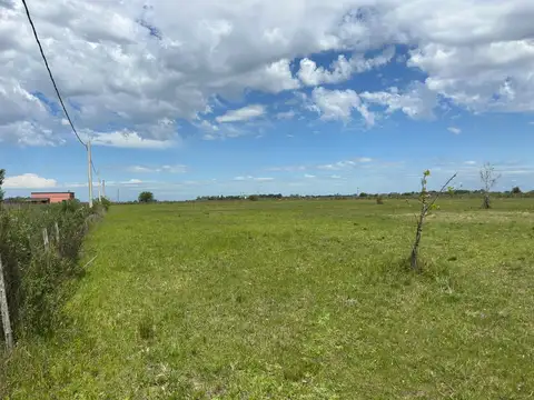 Campo en Venta de 2  ha