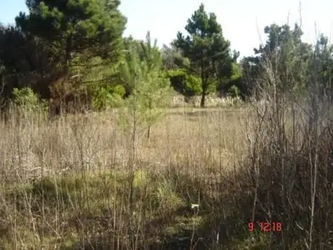 Terreno en Venta, FOT 0.5