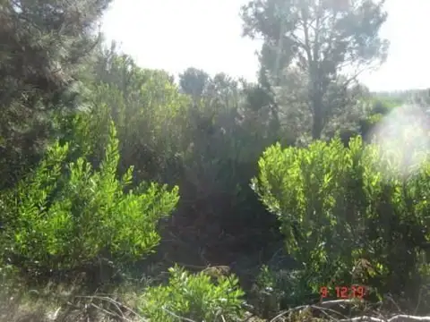 Terreno en Venta de 12580,0 m2