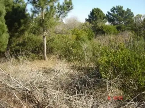 Terreno en Venta en Las Gaviotas, USD 550.000