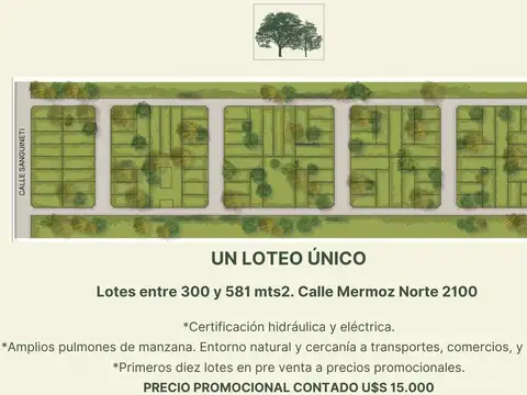 Juan Mermoz Norte 2100