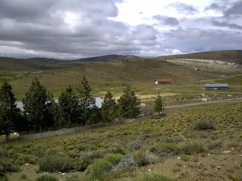RUTA 40