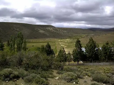 RUTA 40