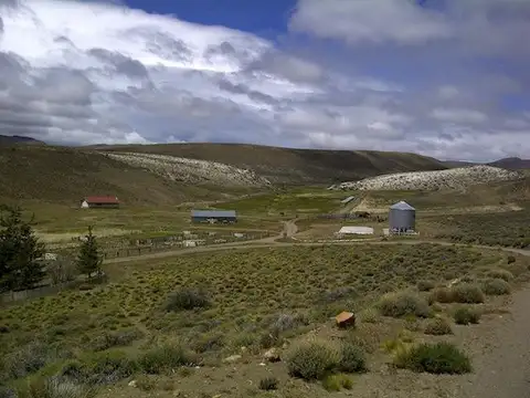 INMOBILIARIA COMODORO - Campo - Tecka - FEED LOT