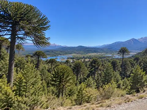Terreno en villa pehuenia