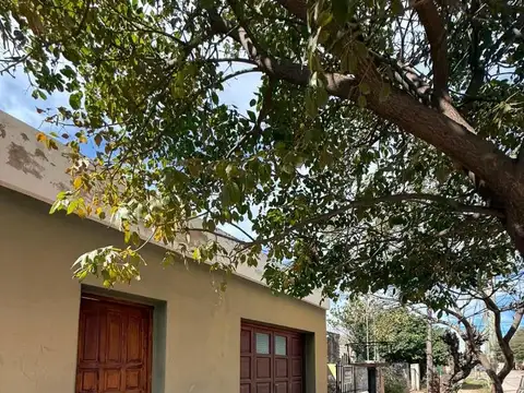 Ameghino 1400