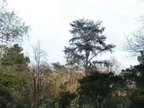 Terreno en Venta de 3300,0 m2