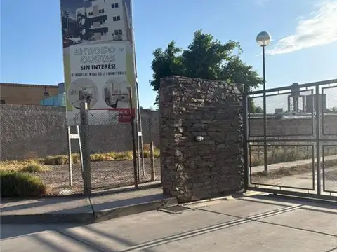 santa maria de oro 100