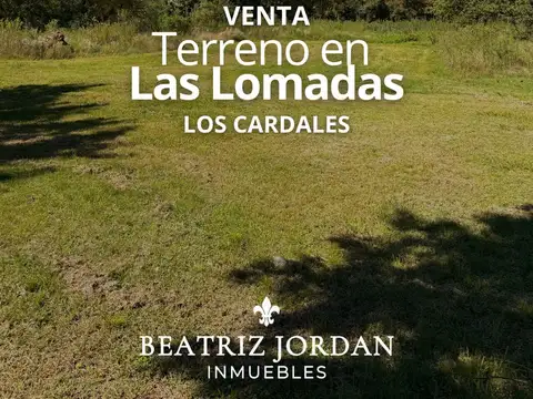 TERRENO EN VENTA, LAS LOMADAS, LOS CARDALES