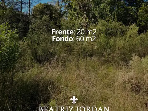 TERRENO EN VENTA, LAS LOMADAS, LOS CARDALES